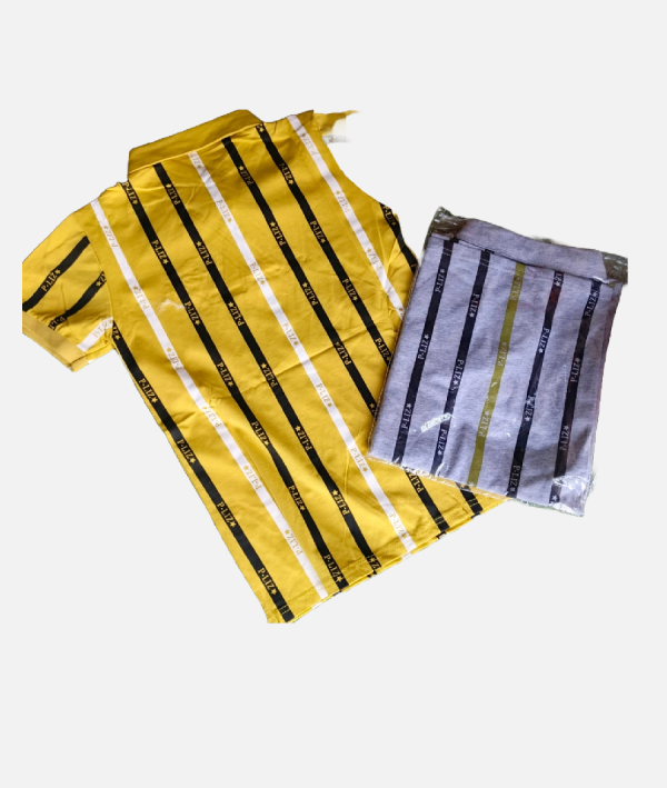 Boys Striped Boat Fear Polo Shirt Multi Color